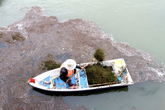 房縣編外“河長”保潔265條河流