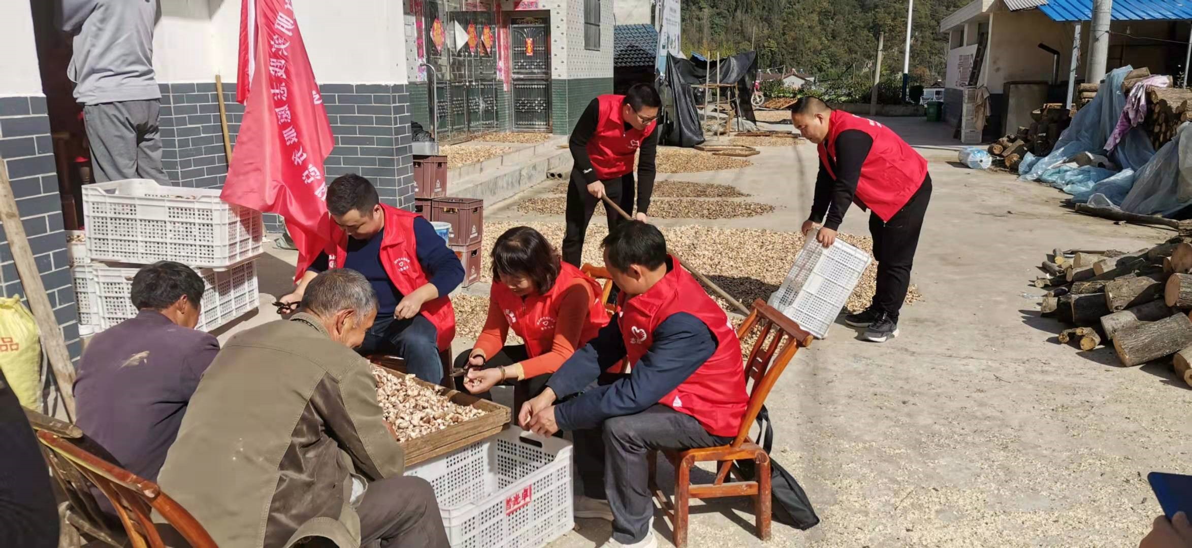 開展志愿服務 收獲群眾笑顏