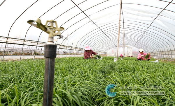 房縣噴灌節水產業富鄉村