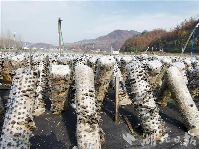 201912050829095264.jpeg 201912050829095264.jpeg