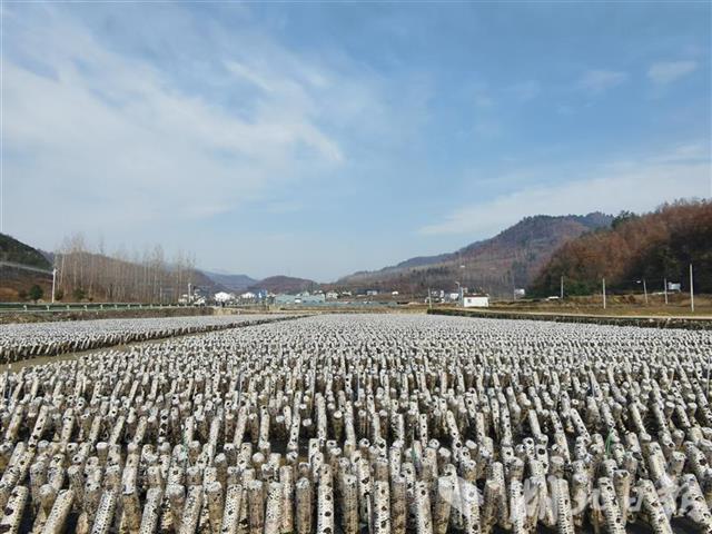 201912050829106774.jpeg 201912050829106774.jpeg