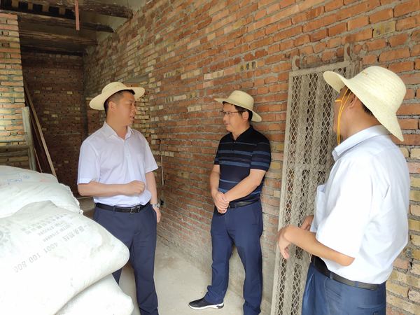 紀(jì)道清到軍店鎮(zhèn)指北村調(diào)研脫貧攻堅工作