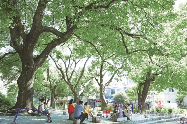 湖北將每年建設300個國家森林鄉村，綠化美化5000個村