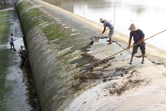 民間河長護河忙