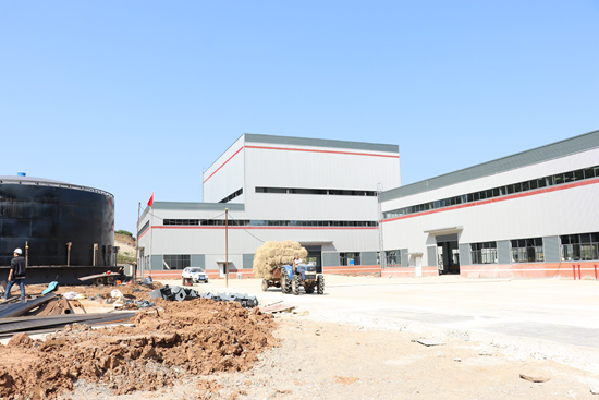 政府“做媒”，秸稈終于找到了“好婆家”