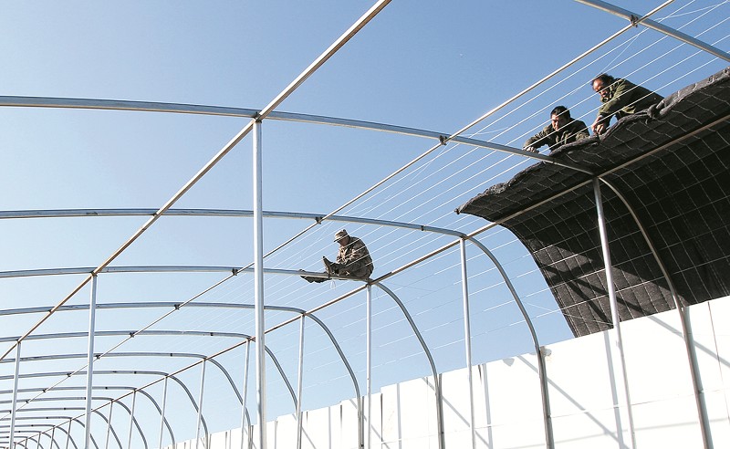 房縣蔬菜基地促進(jìn)農(nóng)民增收