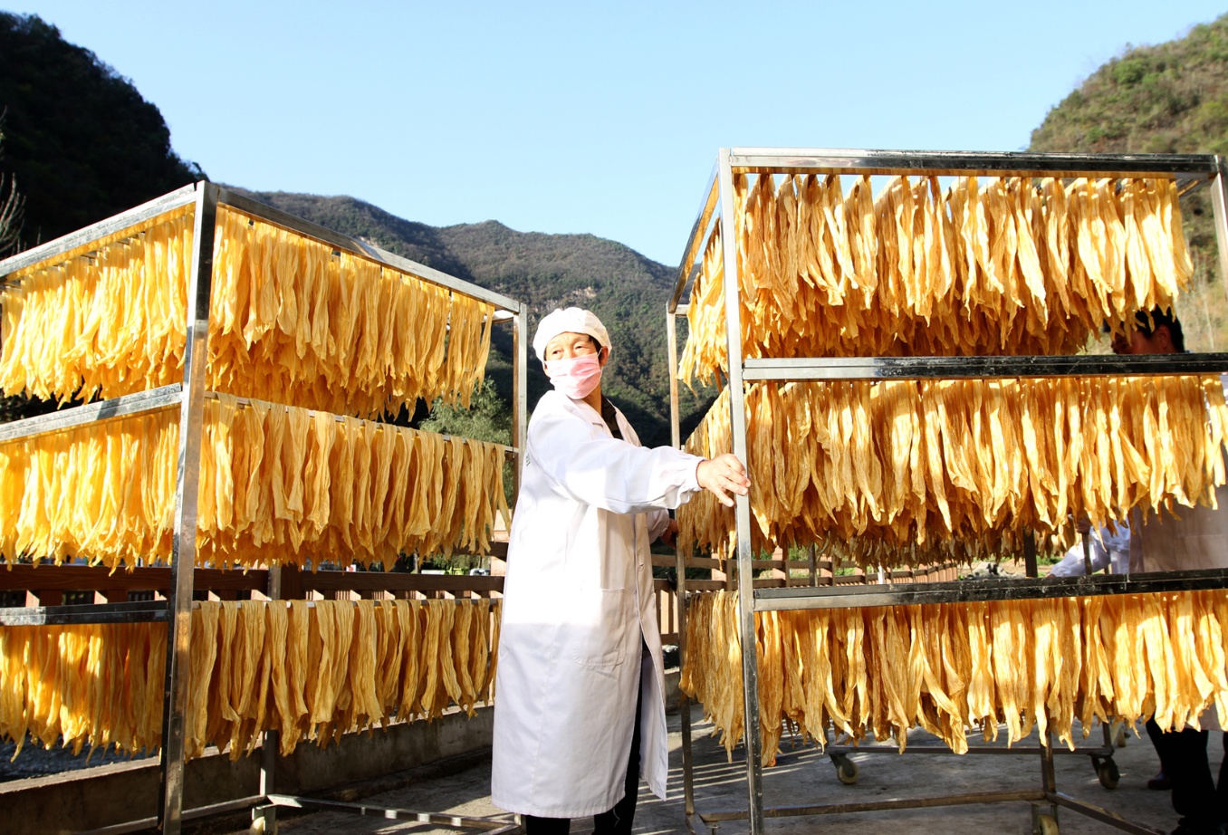 房縣豆油精“塞滿”農(nóng)民“錢袋子”