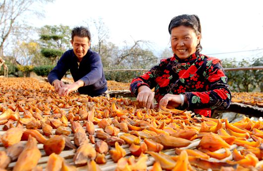 房縣紅薯疙瘩成了致富“金疙瘩”