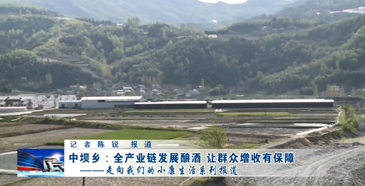 【走向我們的小康生活】中壩鄉全產業鏈發展釀酒 讓群眾增收有保障