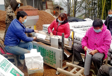 房縣：300多名科技特派員下沉一線，防疫、生產(chǎn)齊發(fā)力