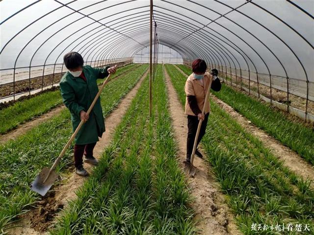 房縣出臺(tái)鞏固脫貧成果“十條意見(jiàn)”， 條條都是“真金白銀”