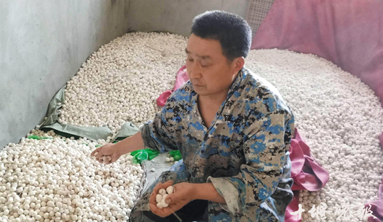 從小吃店老板到“酒曲子王” 看房縣男子如何闖出一片天