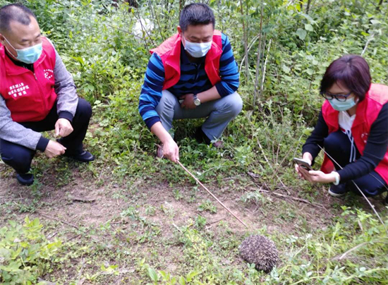 房縣市民野生動物保護意識日益提高