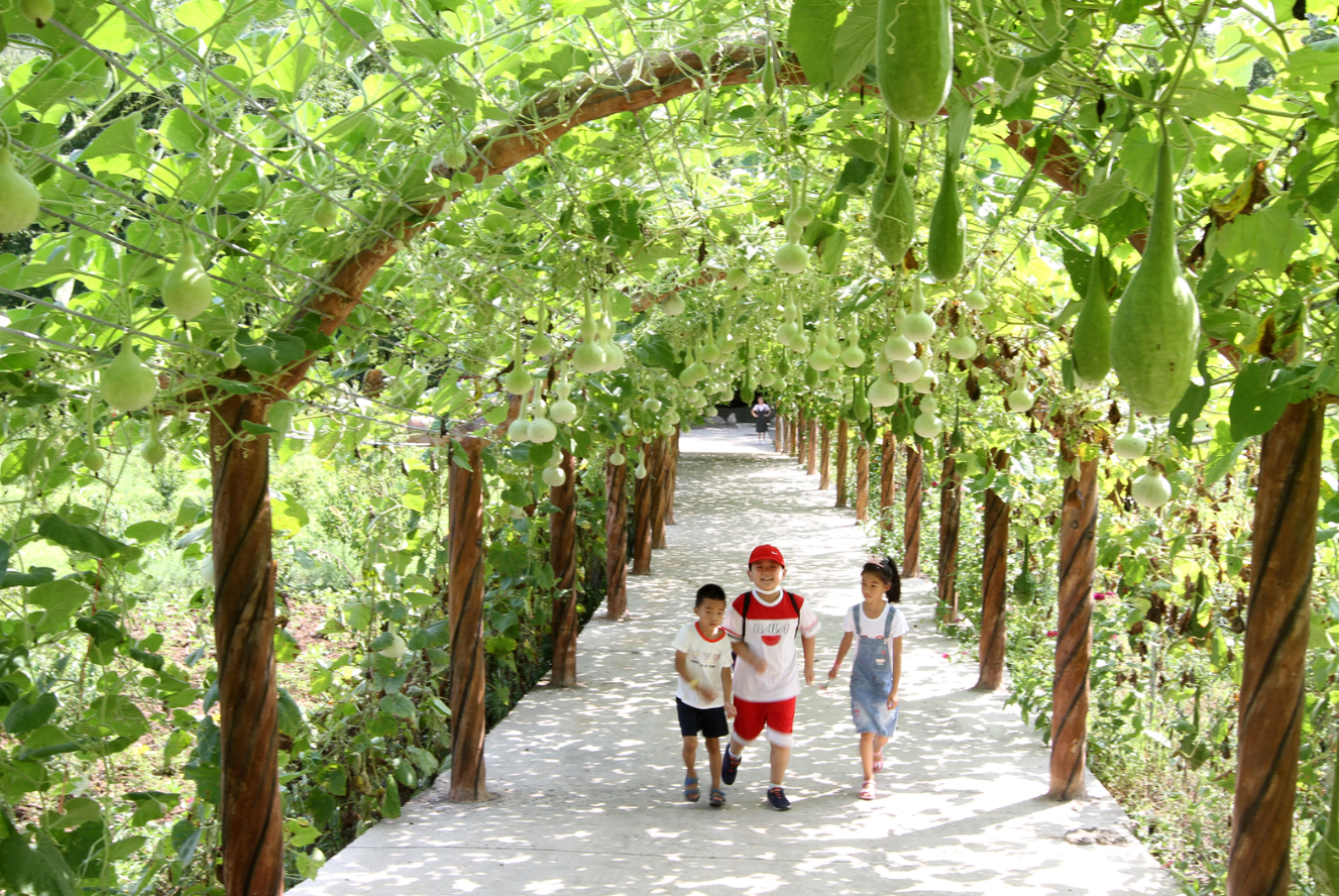 房縣鄉(xiāng)村旅游促進農(nóng)民增收