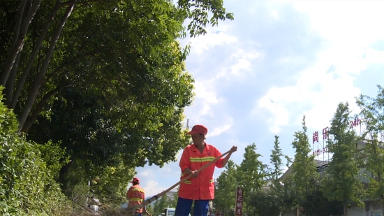 《高溫下的堅守》：不懼烈日的城市美容師