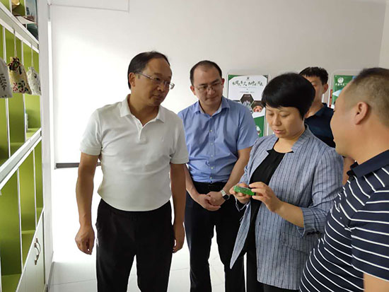 胡志莉在房調(diào)研時強調(diào)：強化保障力 提升發(fā)展力