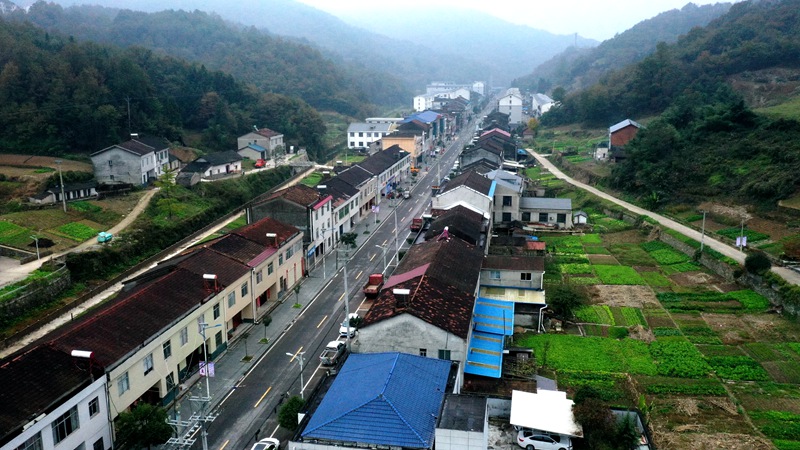 《學習縣委全會精神》沙河鄉：完善產業布局 加強作風建設 展現沙河擔當