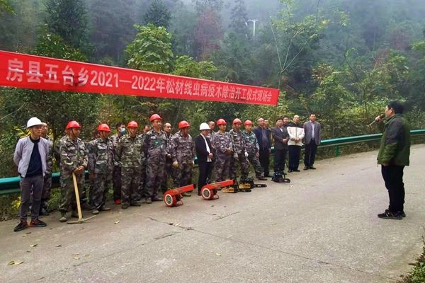 房縣啟動(dòng)今冬明春松材線蟲(chóng)病疫木除治工作