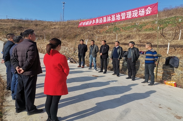 紅塔鎮召開秋冬季經果林基地管理現場會
