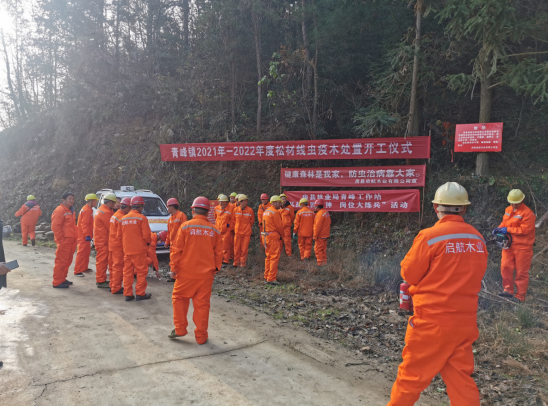 青峰鎮：多舉措確保“林長制”工作 有序推進