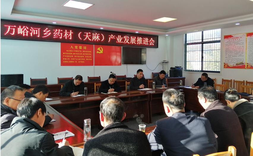 萬峪河鄉召開藥材（天麻）產業發展推進會
