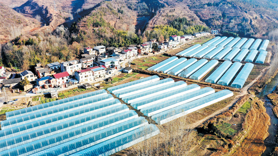 房縣：農(nóng)業(yè)增效 農(nóng)民增收