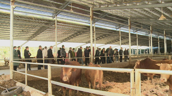 門古寺鎮：做好產業發展“擴穩引”文章 打造“四個一萬”大產業格局