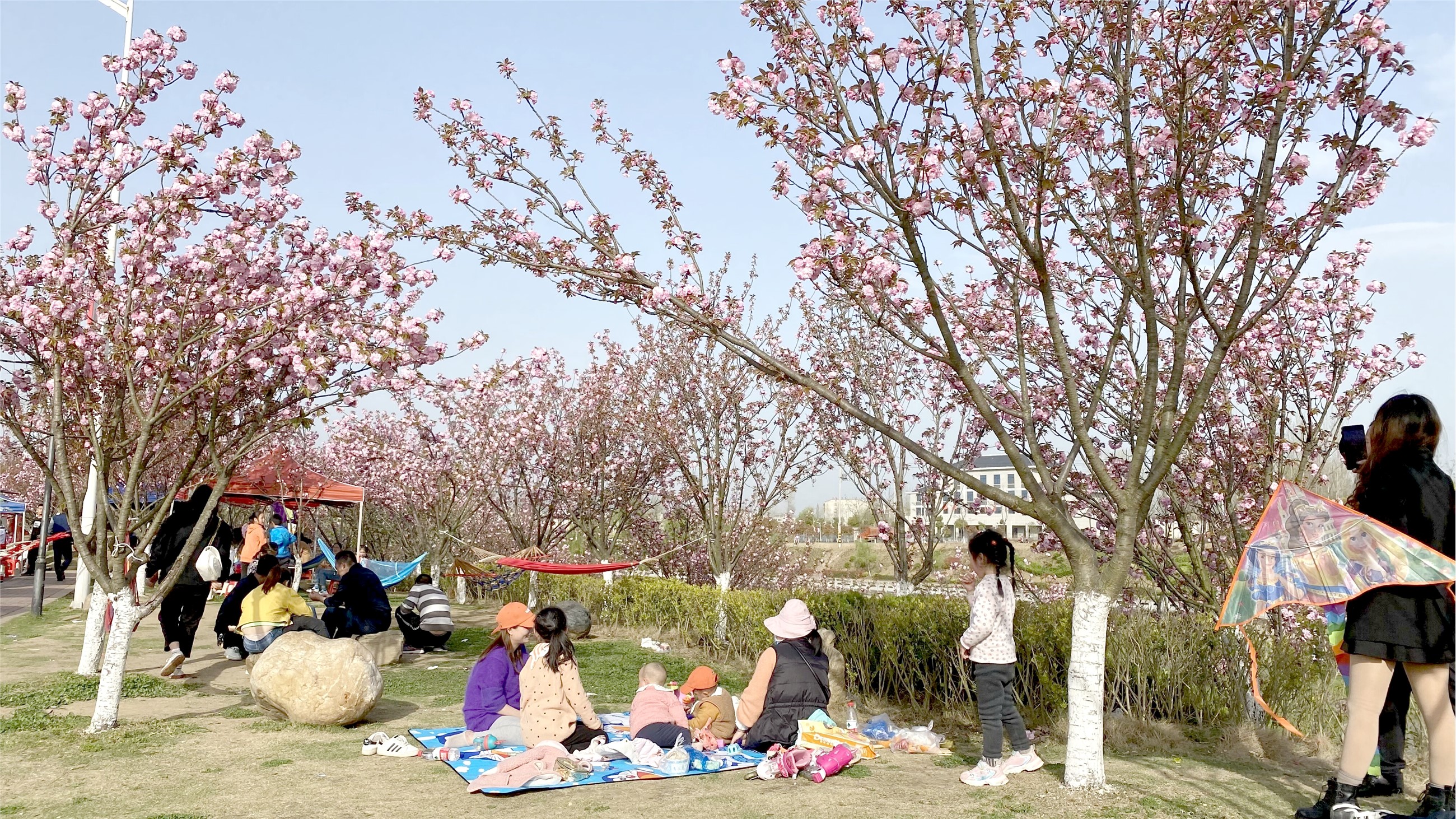 野餐 踏青 不負(fù)好春光