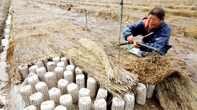 滴灌興產(chǎn)業(yè) 活水旺“鄉(xiāng)村”