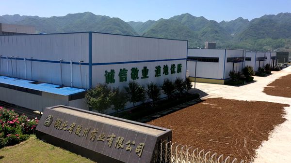 湖北陵州藥業(yè):  芍藥花開 助農(nóng)增收