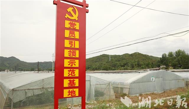 房縣打造“黨員引領(lǐng)示范基地”促農(nóng)增收