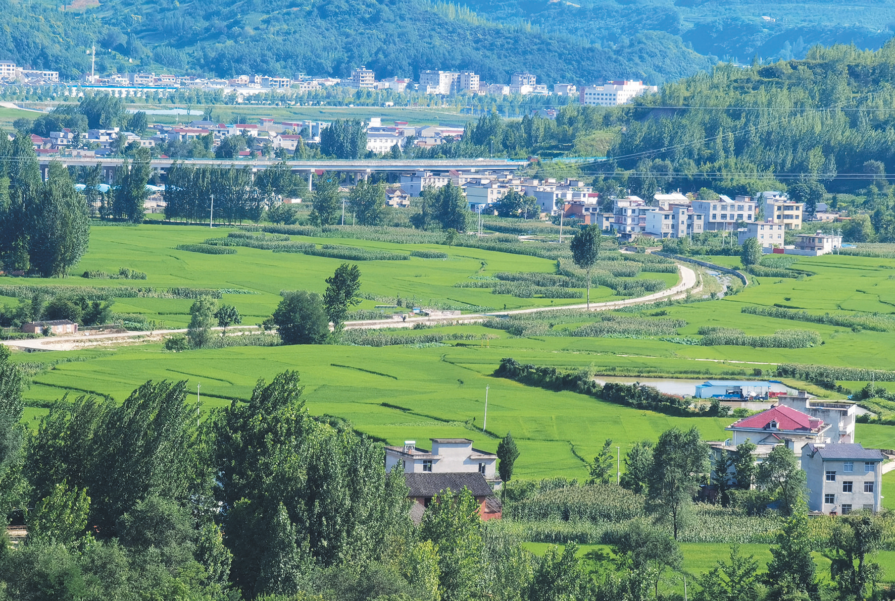 路暢景美三溪溝