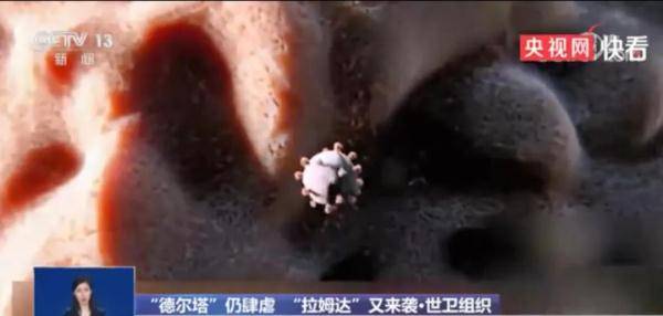 超千人感染，在美國(guó)蔓延 “拉姆達(dá)”比德?tīng)査魅拘愿撸? width=