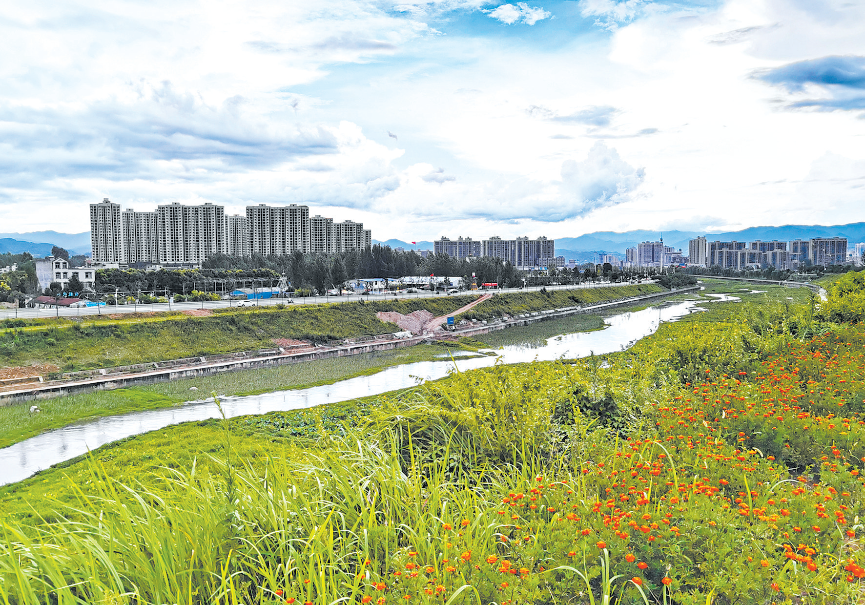 生態濕地綠意盎然