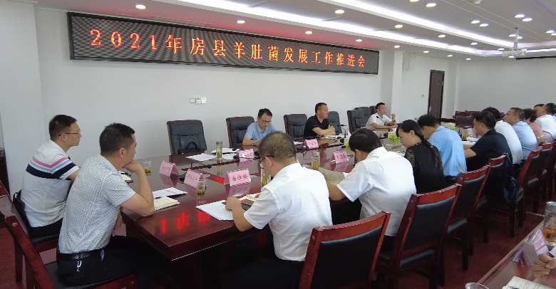 我縣成立七個(gè)服務(wù)專班全力推進(jìn)羊肚菌產(chǎn)業(yè)蓬勃發(fā)展