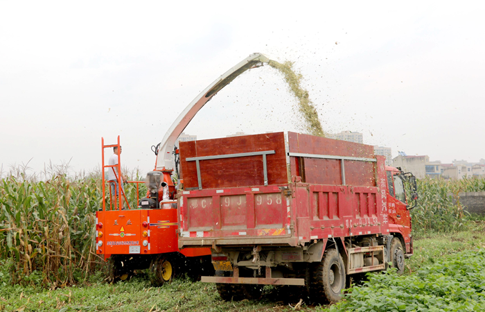 機(jī)械助力秋收忙