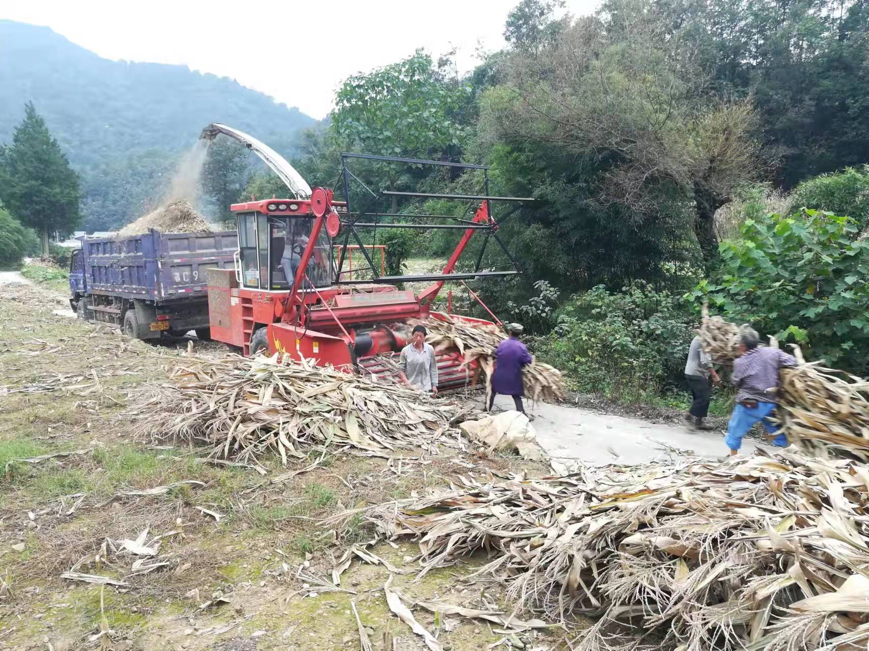 土城鎮秸稈利用“變廢為寶”還農村一片藍天