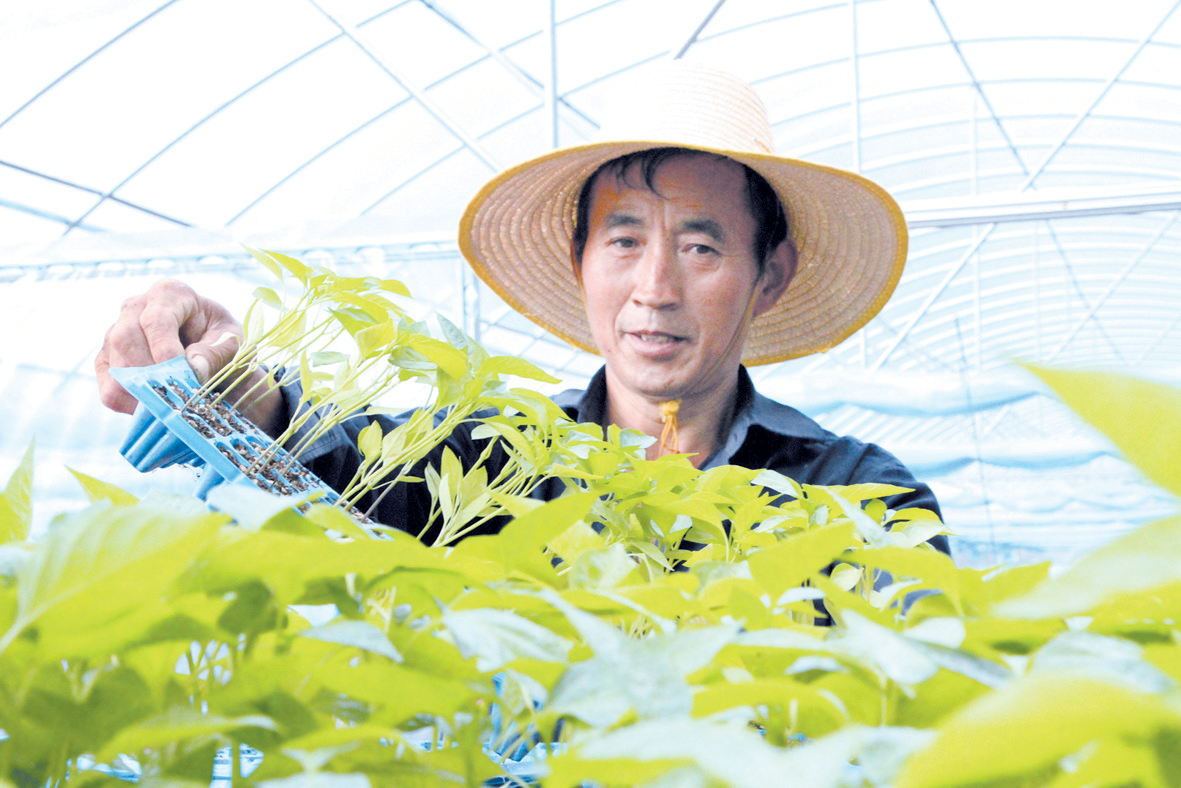 化龍堰鎮(zhèn)：穩(wěn)產(chǎn)業(yè) 促增收