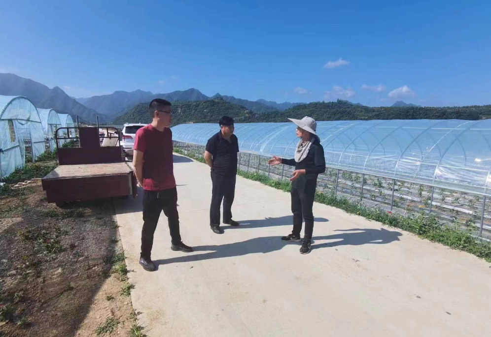 軍店鎮(zhèn)：營商環(huán)境，“優(yōu)無止境”