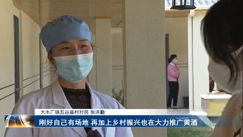 張洪勤 ：釀黃酒  迎收獲