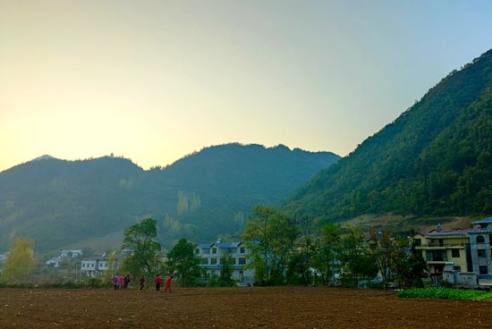 大木廠鎮(zhèn)：建設(shè)蔬菜大棚 賦能產(chǎn)業(yè)振興