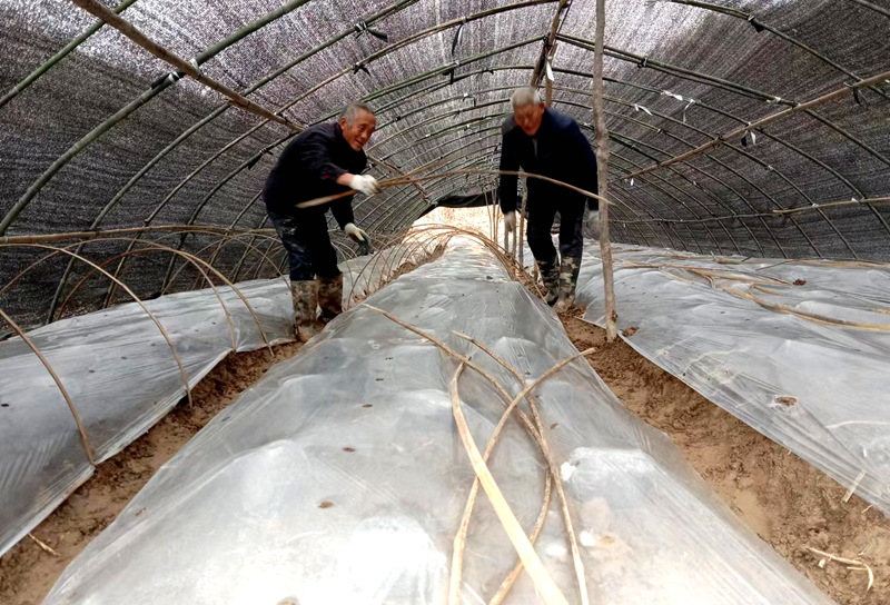 小亭村:發(fā)展特色產(chǎn)業(yè) 助力鄉(xiāng)村振興