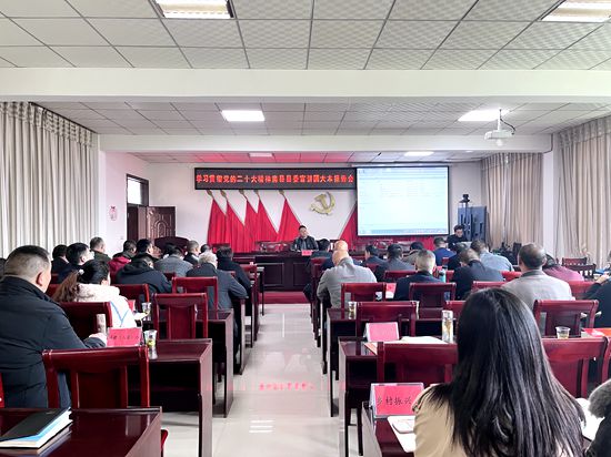 大木廠(chǎng)鎮(zhèn)“三到位”學(xué)習(xí)貫徹黨的二十大精神