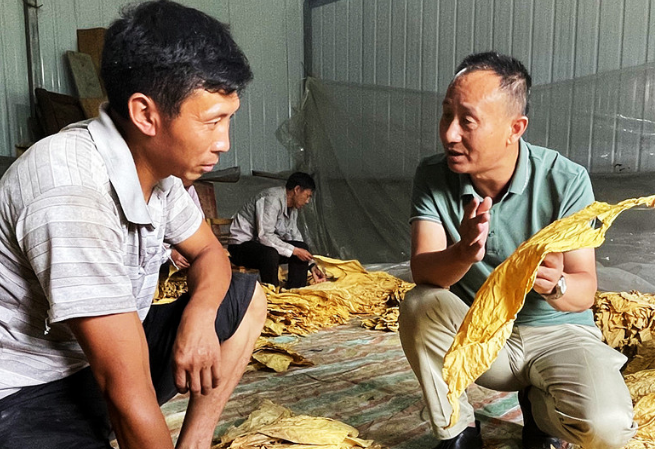 煙葉托起幸福生活底氣