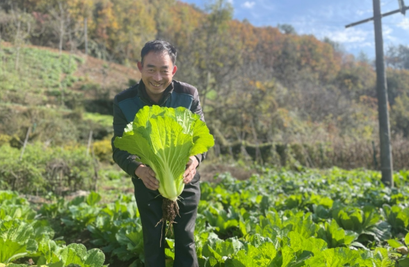 湖北房縣：致富多元化 幸福路更寬