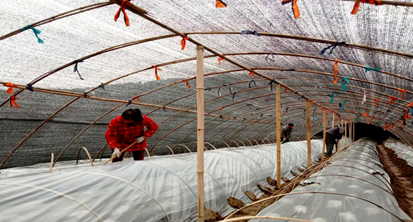 穿山堰村:大戶引領(lǐng)興產(chǎn)業(yè)  經(jīng)濟倍增振鄉(xiāng)村