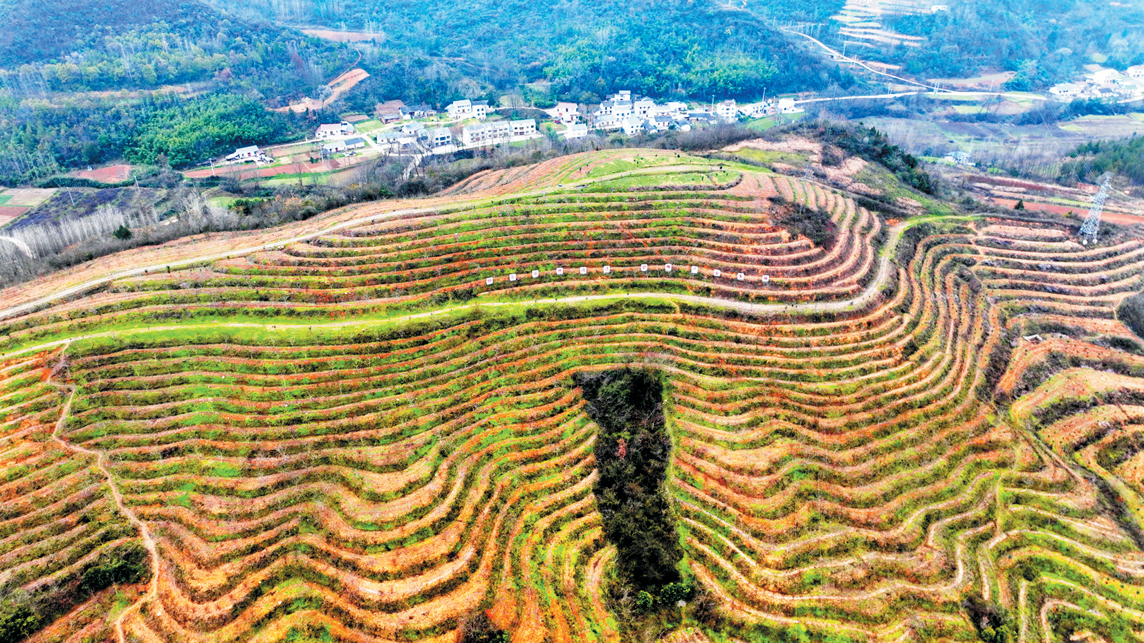 昔日荒山禿嶺 今朝“綠色銀行”