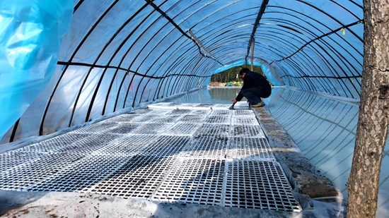 九道鄉：人勤春來早  煙葉育苗忙