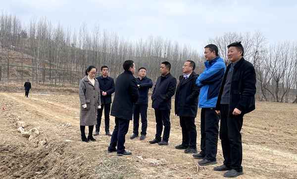 化龍堰鎮：做大蔬菜產業 促進鄉村振興