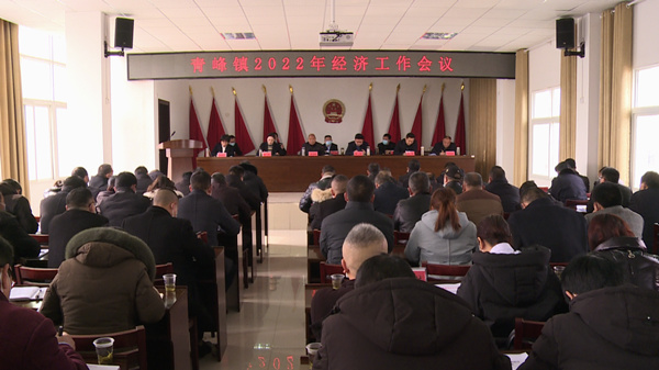 青峰鎮：落實六大中心工作 加快衛星鄉鎮建設